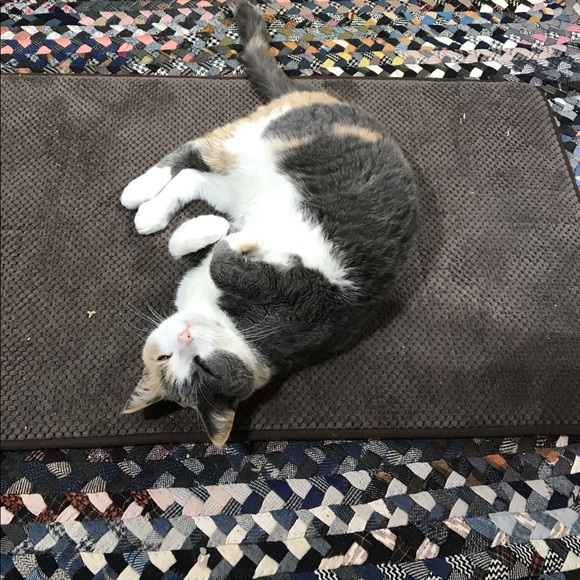 Meet your Posher, Donna - Picture 2 of 6